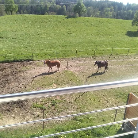 Apartmán Mit Ausblick *