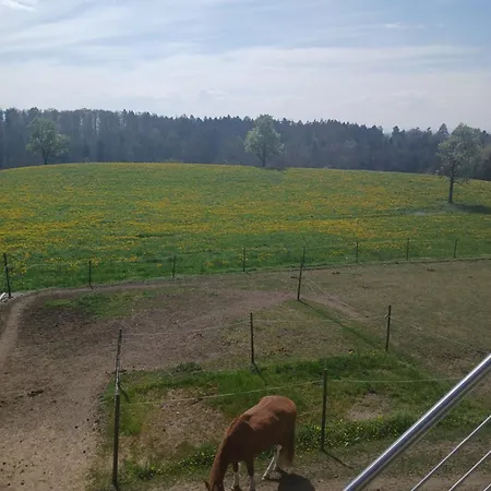 Apartmán Mit Ausblick Ravensburg