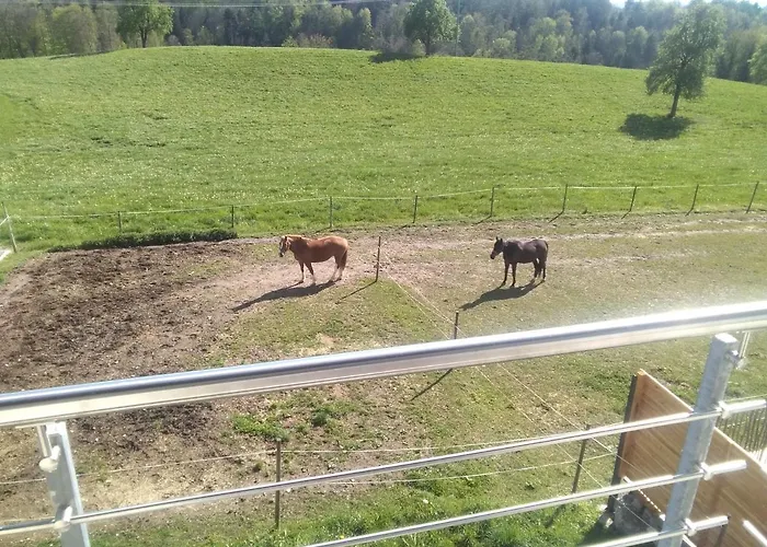 Lägenhet Mit Ausblick *