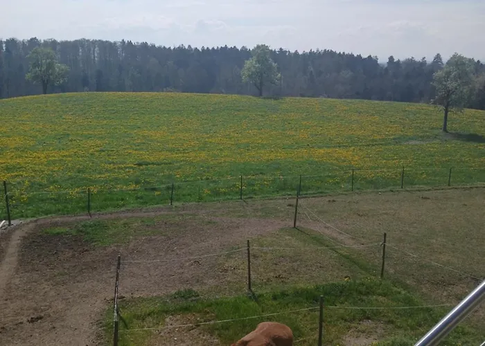 Lägenhet Mit Ausblick Ravensburg